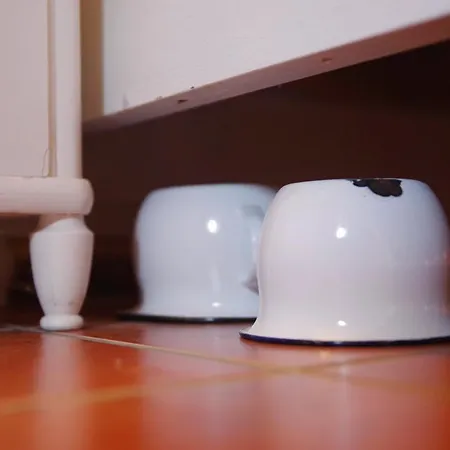 Novakovi U Novacky *