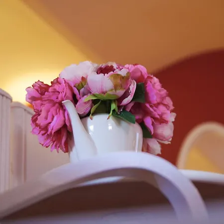 Novakovi U Novacky *